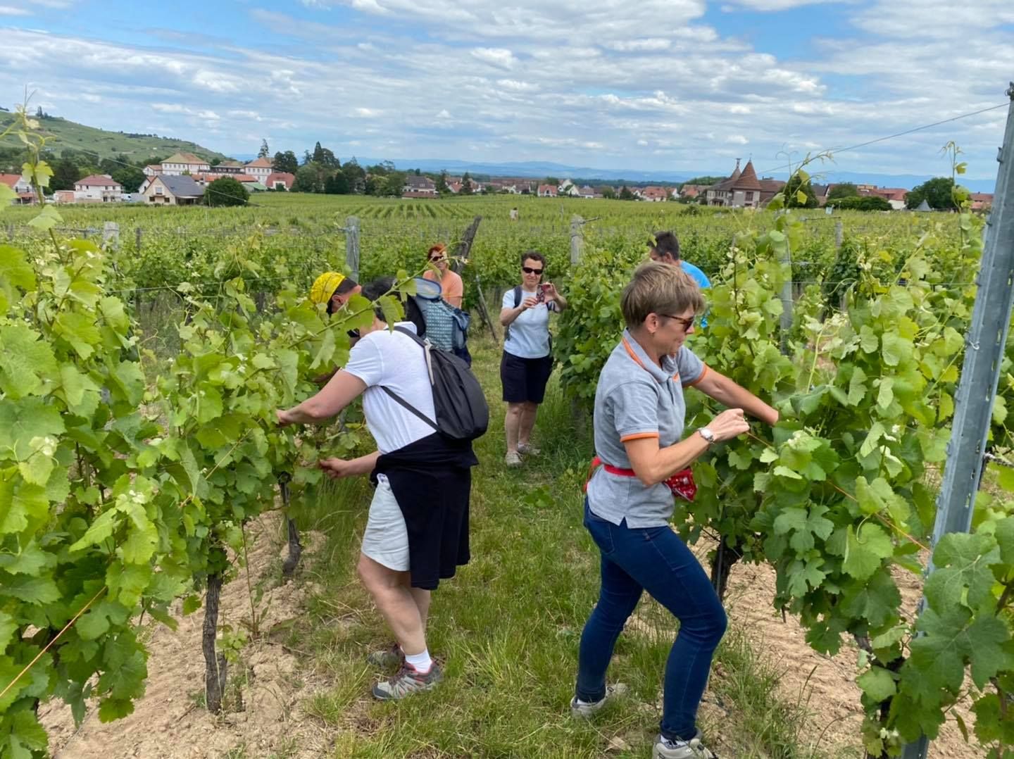 ’oenotourisme peut être une mine d’opportunités pour un vigneron qui souhaite développer son entreprise