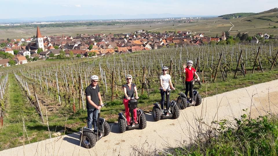 ’oenotourisme peut être une mine d’opportunités pour un vigneron qui souhaite développer son entreprise