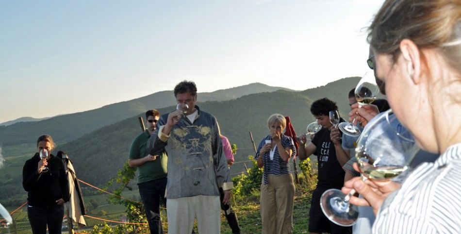 ’oenotourisme peut être une mine d’opportunités pour un vigneron qui souhaite développer son entreprise